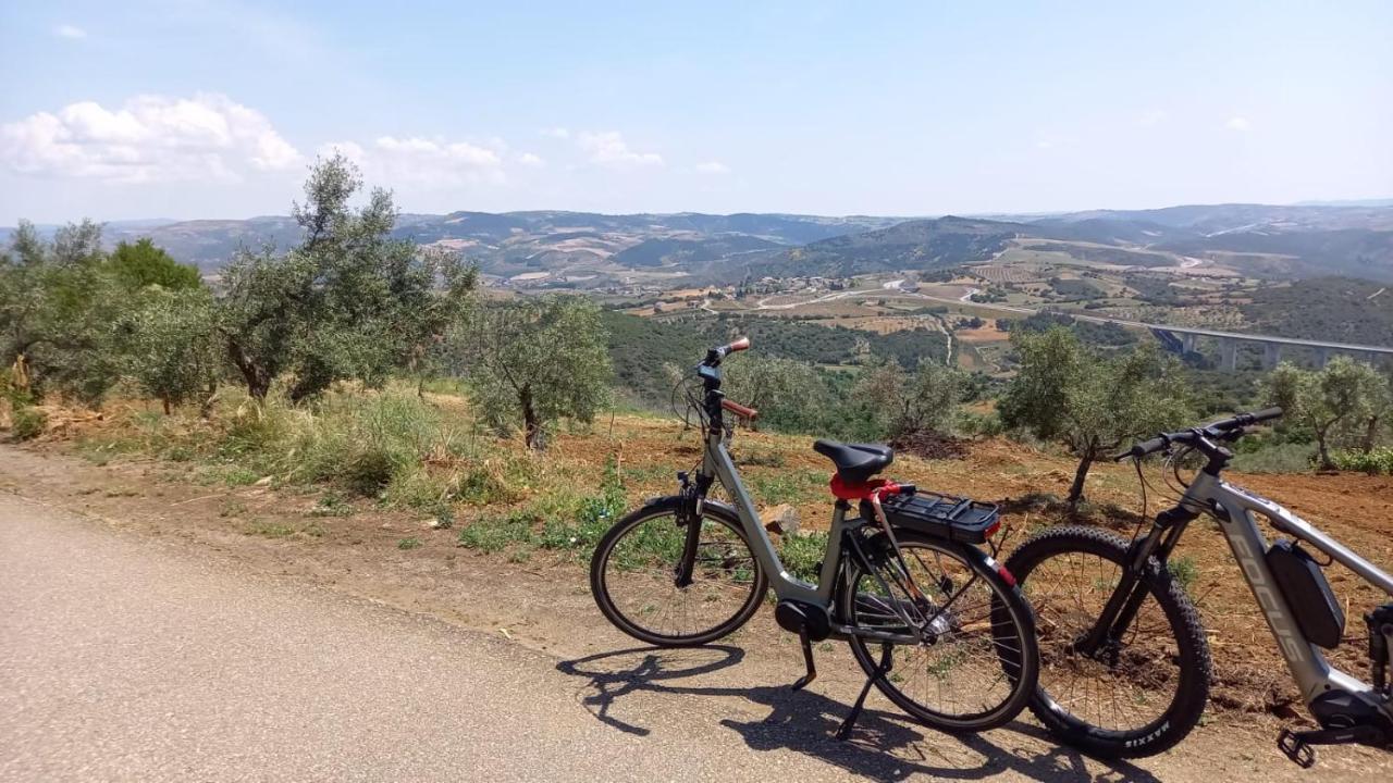 Quinta Da Vista Villa Bragança Eksteriør billede